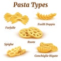 Realistic traditional italian pasta types vector set