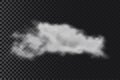 Realistic transparent cloud. Fog or smoke cloud. Cloudiness effect. Vector.