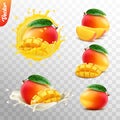 3d realistic transparent isolated vector set, whole and slice of mango fruit, mango in a splash of juice with drops, mango in a Royalty Free Stock Photo