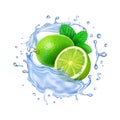 Realistic transparent splash mojito, mint leaves, water splash and lime fruit 3d vector