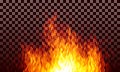 Realistic transparent vector fire flames on black background Royalty Free Stock Photo