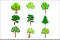 Realistic Trees Set