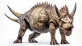 Realistic Triceratops Dinosaur Rendering On White Background Royalty Free Stock Photo