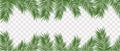 Realistic tropical leaves on transparent background, vector illustration