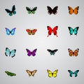 Realistic Tropical Moth, Archippus, Lexias And Other Vector Elements. Set Of Moth Realistic Symbols Also Includes Morpho Royalty Free Stock Photo