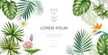 Realistic Tropical Plants Floral Concept Royalty Free Stock Photo