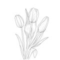realistic tulip flower drawing, , realistic tulip outline, tulip drawing for kids, pencil tulip drawing, tulip vector art