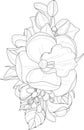 Realistic tulip, iris and roses flower bouquet with leafs sketch template.