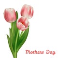 Realistic tulips bouquet Mother's day card design template