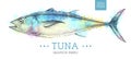 Realistic Tuna fish on artistic watercolor background. Seafood menu design