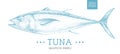 Realistic tuna fish. Seafood menu design