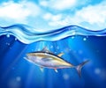 Realistic Tuna Sea Composition Royalty Free Stock Photo