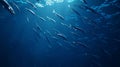 A realistic underwater view of a school of sardines swimming in perfect formation, natural lighting Royalty Free Stock Photo