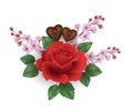 Realistic Valentine Day set red rose chocolate flower. Pink cherry sakura spring blossom heart shape candy romantic gift