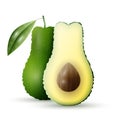 Realistic vector avocado Royalty Free Stock Photo