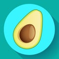 Realistic vector avocado icon illustration. Cut avocado icon flat. Royalty Free Stock Photo