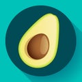 Realistic vector avocado icon illustration. Cut avocado icon flat. Royalty Free Stock Photo