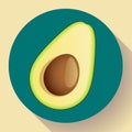 Realistic vector avocado icon illustration. Cut avocado icon flat. Royalty Free Stock Photo
