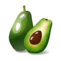 Realistic vector avocado isolated on white background Royalty Free Stock Photo