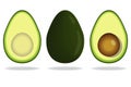 Realistic vector avocado isolated on white background Royalty Free Stock Photo