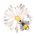 Realistic vector bee bumblebee on the flower