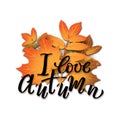 Realistic vector bouquet of autumn leaves - orange maple and rowan tree leaf with hand drawn lettering I love autumn isolated Royalty Free Stock Photo