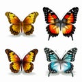 Realistic Vector Butterflies: Vibrant Colors And Meticulous Details