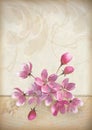 Realistic vector cherry blossom flower arrangement Royalty Free Stock Photo