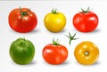 Realistic vector of 6 different colors of tomatoes on transparent background