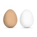 Realistic Vector Eggs. Brown Egg and White Egg Isolated on White