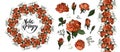 Realistic vector elements set of orange roses petals, leaves, bud and an open flower Royalty Free Stock Photo