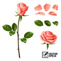 Realistic vector elements set of pink roses: petals, leaves, bud and an open flower Royalty Free Stock Photo
