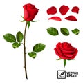 Realistic vector elements set of red roses petals, leaves, bud and an open flower