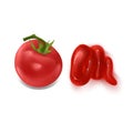 Realistic vector elements set of red tomato, splash of tomato, whole and a slice of tomato, squeezed out red sauce on white Royalty Free Stock Photo