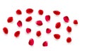 Realistic vector elements set of rose petals. Red petals of rose flower Royalty Free Stock Photo