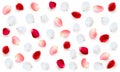 Realistic vector elements set of rose petals. Red, white and pink petals of rose flower Royalty Free Stock Photo