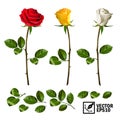 Realistic vector elements set of roses leaves, bud and an open flower Royalty Free Stock Photo