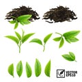 Realistic vector elements set of tea: fresh leaves and pile dry tea