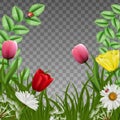 Realistic vector fantasy beautiful green floral background square frame. With green loan grass and pink tulips with camomile and