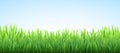 Realistic vector fresh spring green grass field Royalty Free Stock Photo