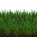 Realistic vector grass illustration with dense green blades Royalty Free Stock Photo