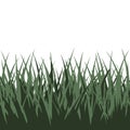 Realistic vector grass illustration with dense green blades Royalty Free Stock Photo
