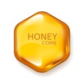 Realistic vector honey drop. Hexagon on white background Royalty Free Stock Photo