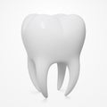 Realistic Vector Human Tooth, Close-Up, Three-Quarter Front Angle View Royalty Free Stock Photo