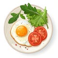 Breakfast fried egg tomato and green salad Royalty Free Stock Photo