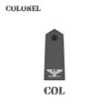 Realistic vector icon of the chevron of the Colonel of the US Army. Description and abbreviated name