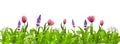 3d realistic vector icon illustration. Green grass pattern, alpine pasture, flowers, lavender and tulips