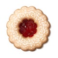 Realistic vector icon. Isolated. Linzer cookie