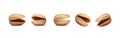 realistic vector icon. Pistachio shelled in different shapes.