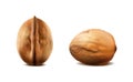 3d realistic vector icon. Walnuts in the shell in different shapes. Isolated on white